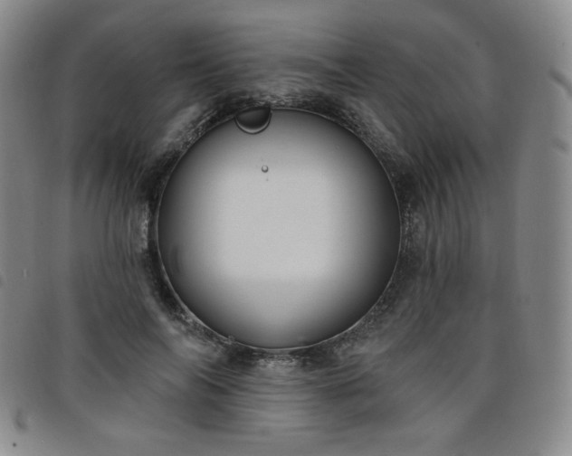 X0000098130694200804241650