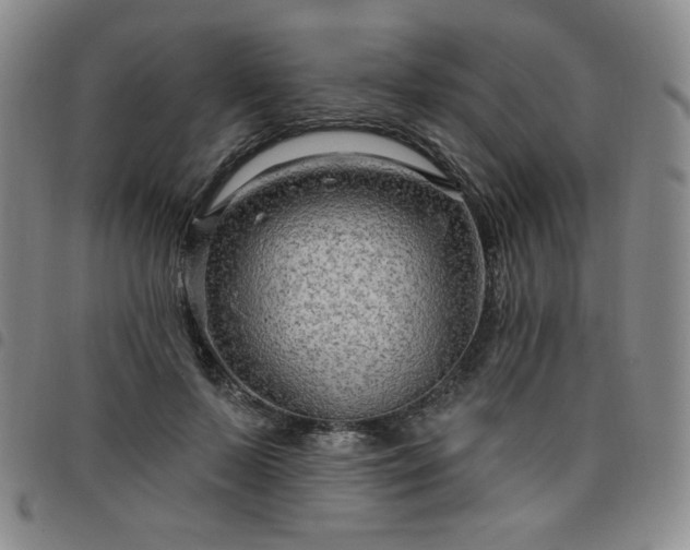 X0000098130695200804241650