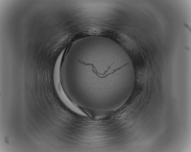 X0000098130697200804241650