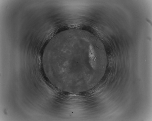 X0000098130699200804241650