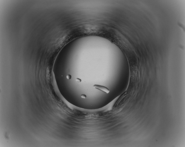 X0000098130700200804241650