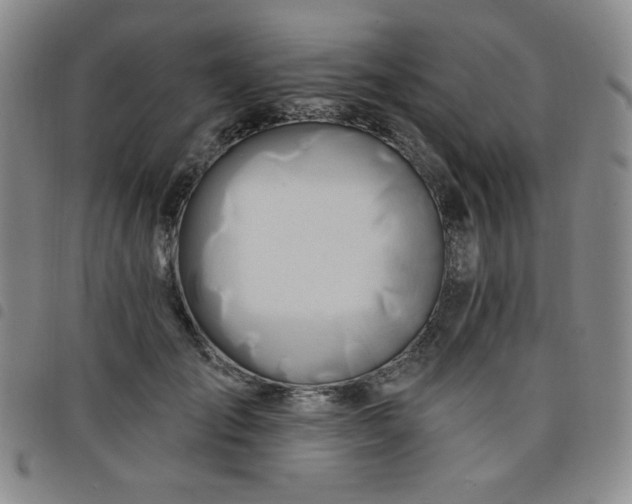 X0000098130701200804241650