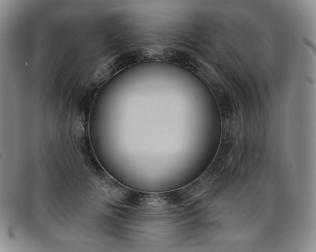 X0000098130702200804241650