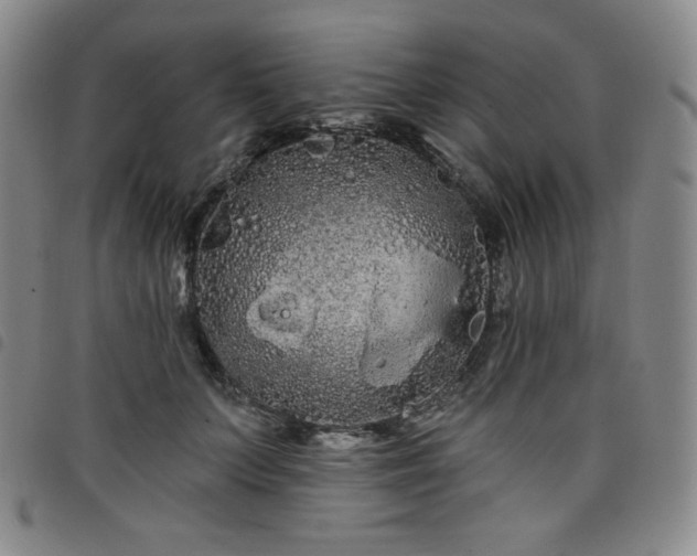 X0000098130703200804241650