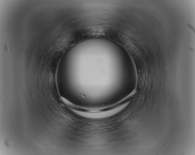 X0000098130704200804241650