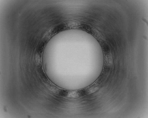 X0000098130705200804241650