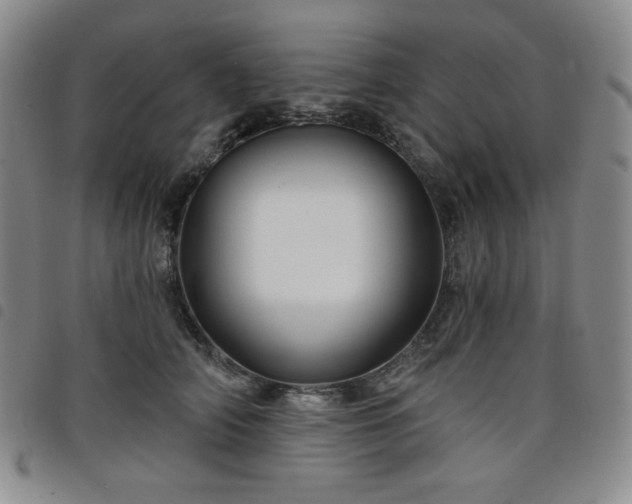 X0000098130706200804241650