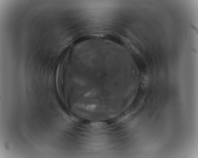 X0000098130707200804241650