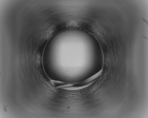 X0000098130708200804241650