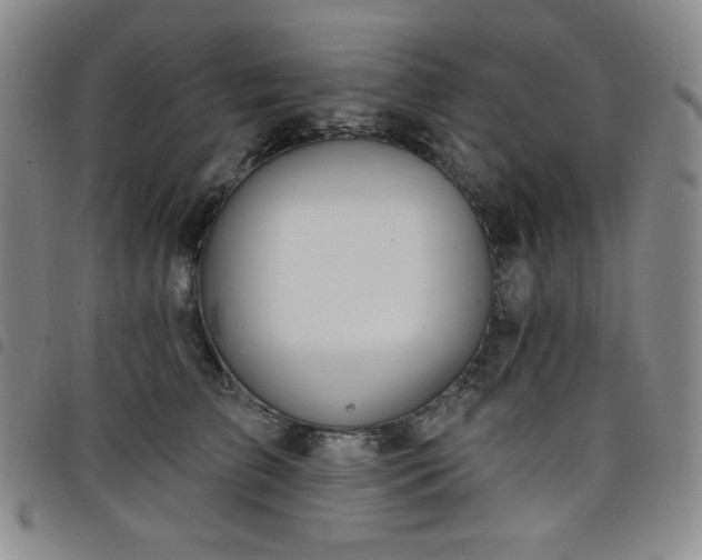 X0000098130709200804241650