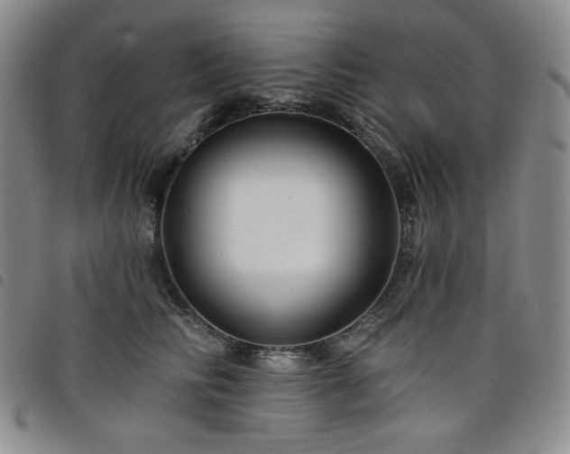 X0000098130710200804241650