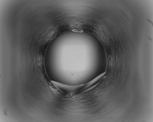 X0000098130712200804241650