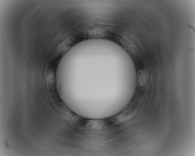 X0000098130713200804241650