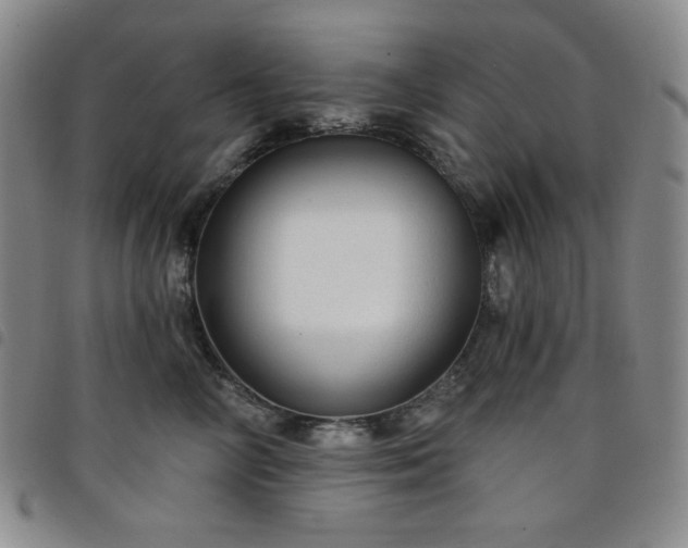 X0000098130714200804241650