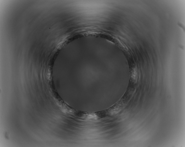 X0000098130715200804241650