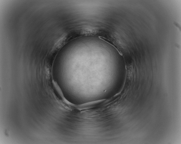 X0000098130716200804241650