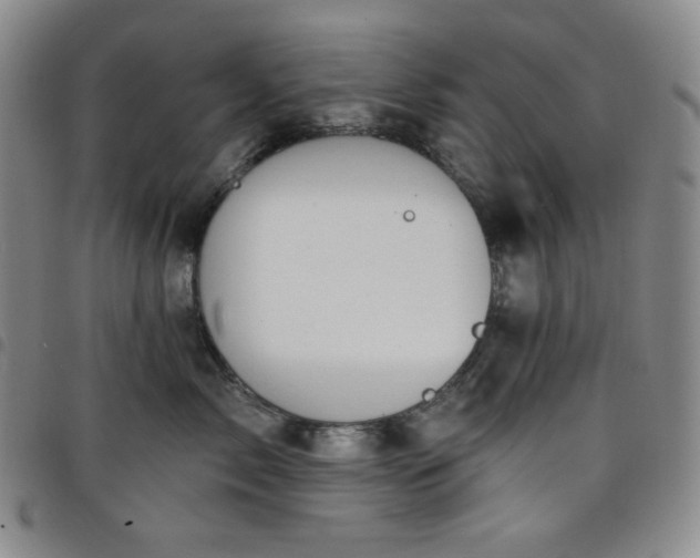 X0000098130717200804241650