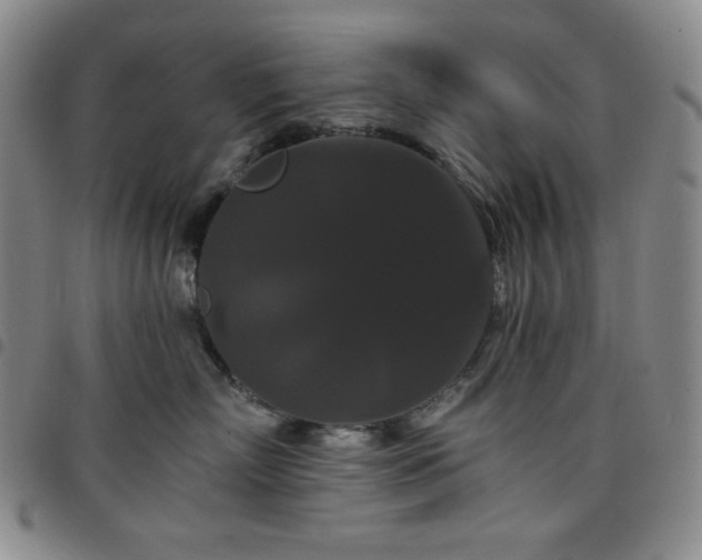 X0000098130718200804241650