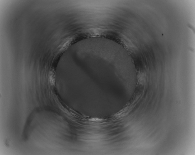 X0000098130719200804241650