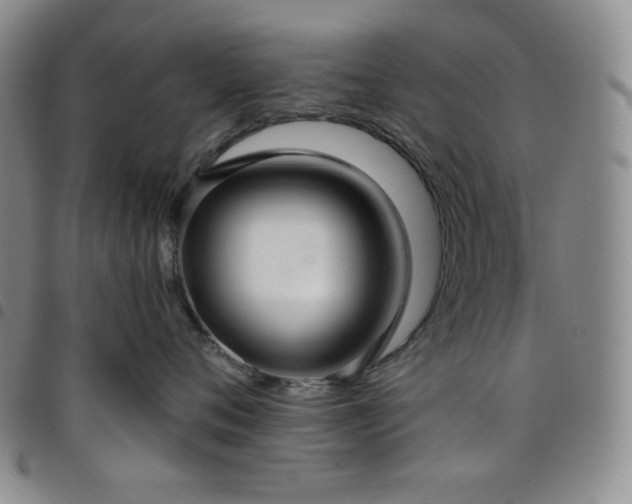X0000098130720200804241650