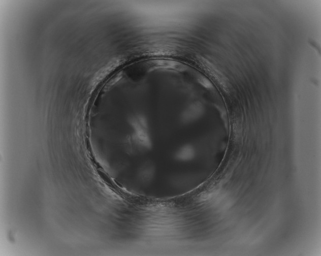X0000098130721200804241649
