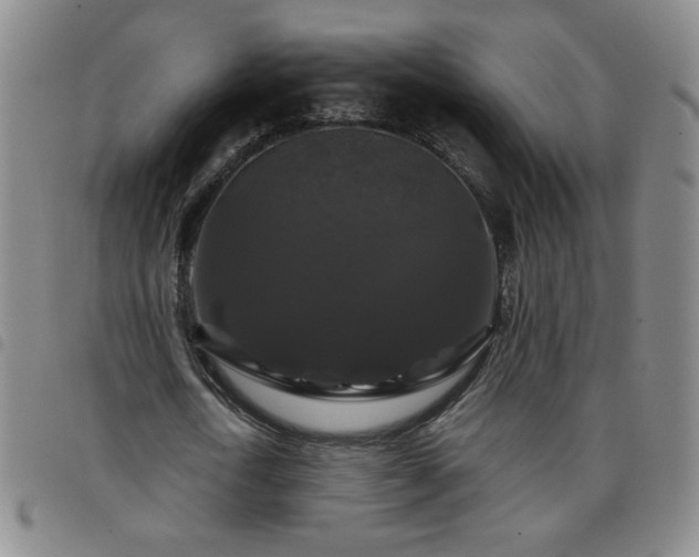 X0000098130722200804241649