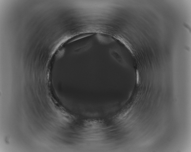 X0000098130723200804241649