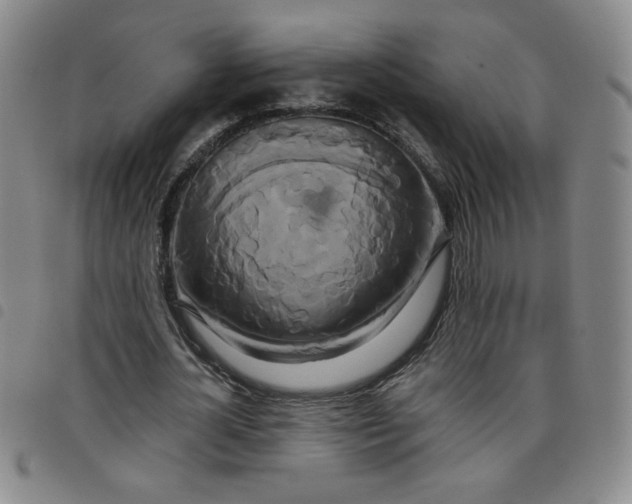 X0000098130724200804241649
