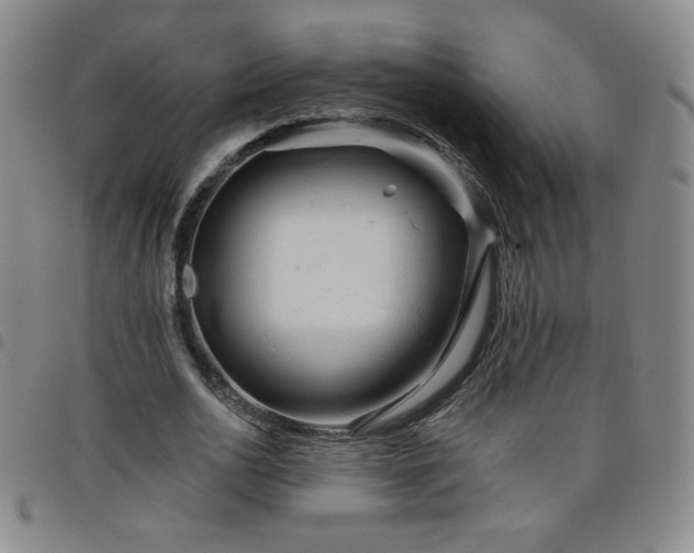 X0000098130726200804241649