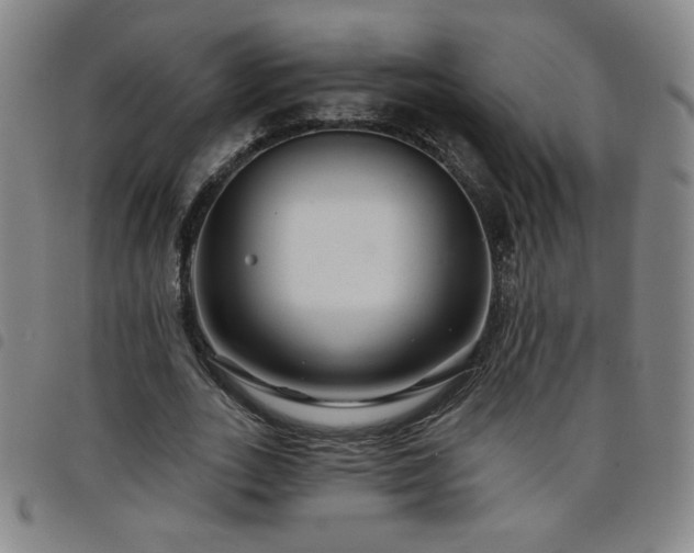 X0000098130727200804241649