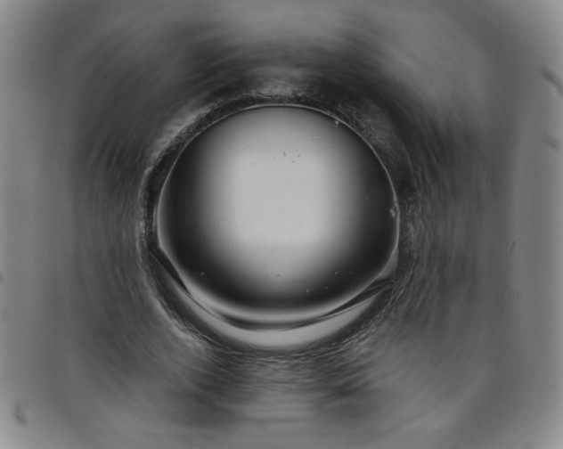 X0000098130728200804241649