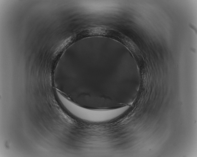 X0000098130729200804241649