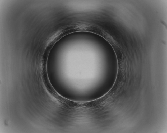 X0000098130730200804241649