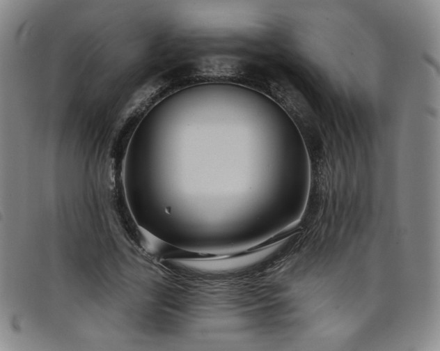 X0000098130731200804241649