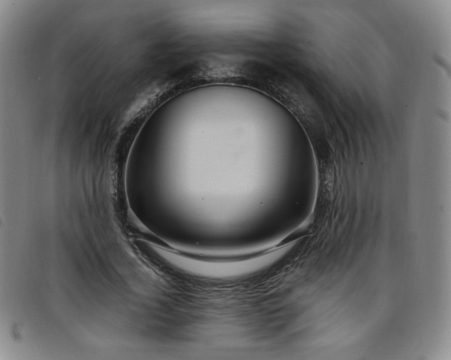 X0000098130732200804241649