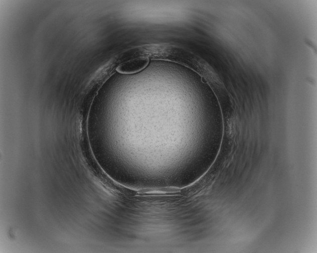 X0000098130733200804241649
