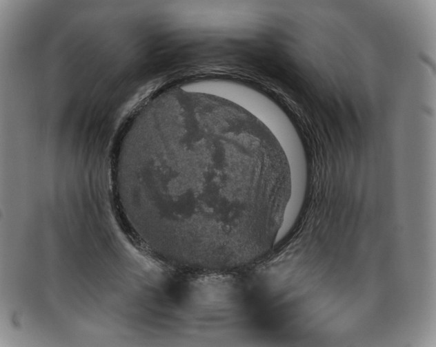 X0000098130734200804241649