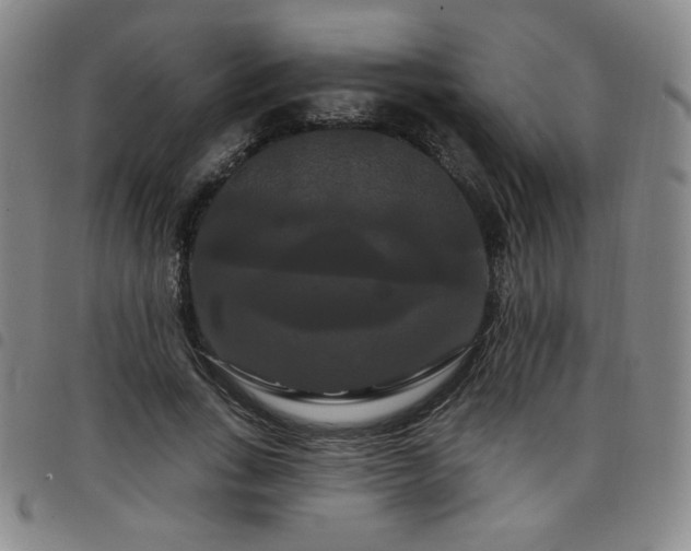 X0000098130735200804241649