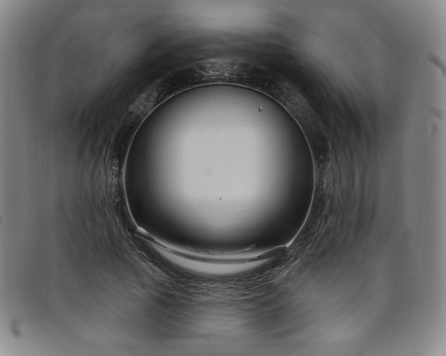 X0000098130737200804241649