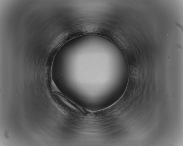 X0000098130738200804241649