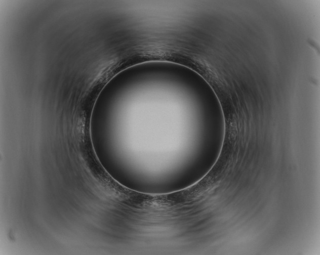 X0000098130739200804241649
