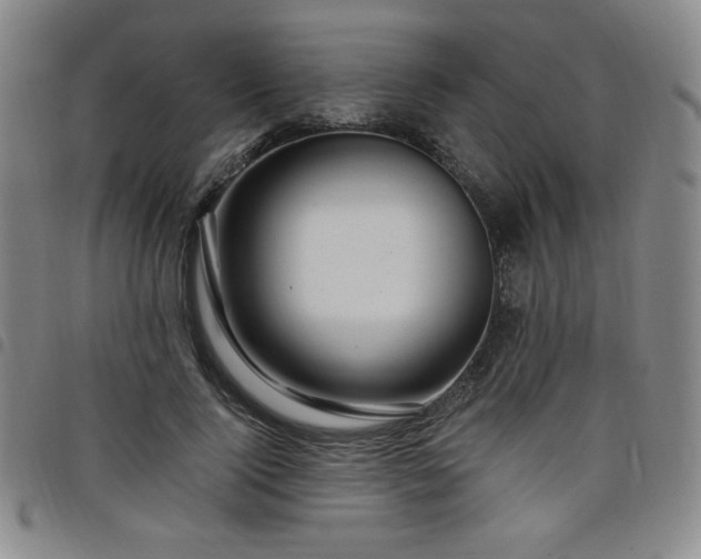 X0000098130740200804241649