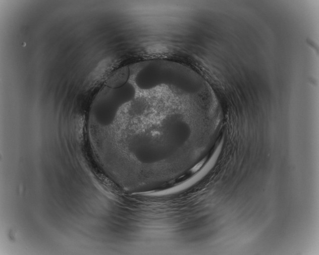 X0000098130742200804241649