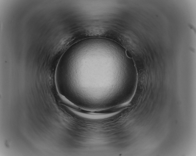X0000098130743200804241649