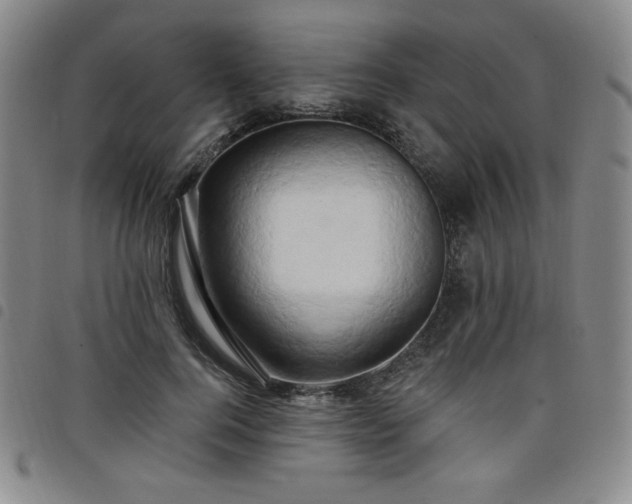 X0000098130744200804241649