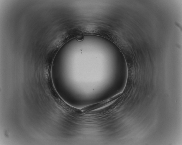 X0000098130746200804241649