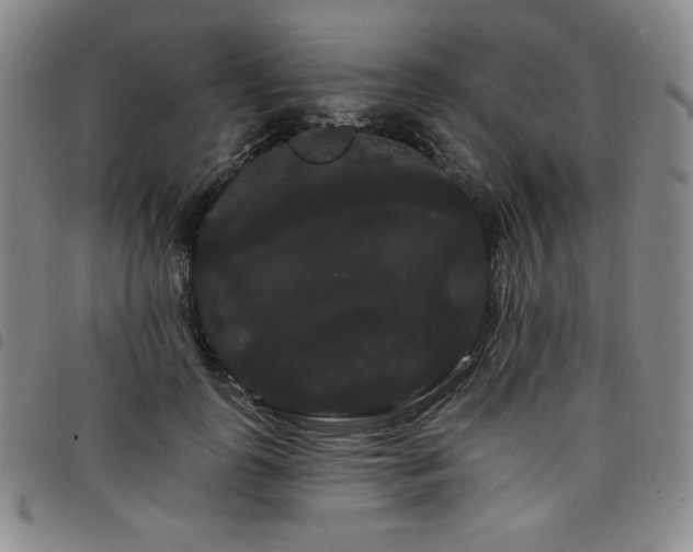 X0000098130747200804241649