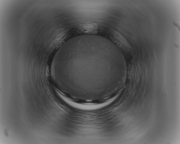 X0000098130748200804241649