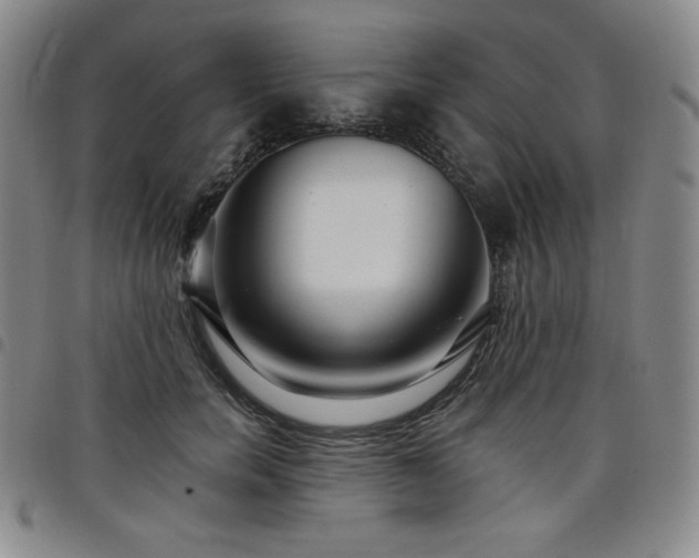 X0000098130750200804241649