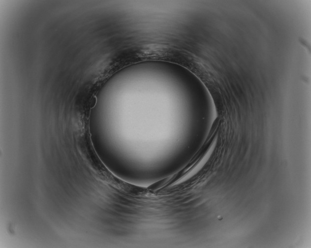 X0000098130751200804241649